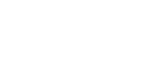 zoulaglide